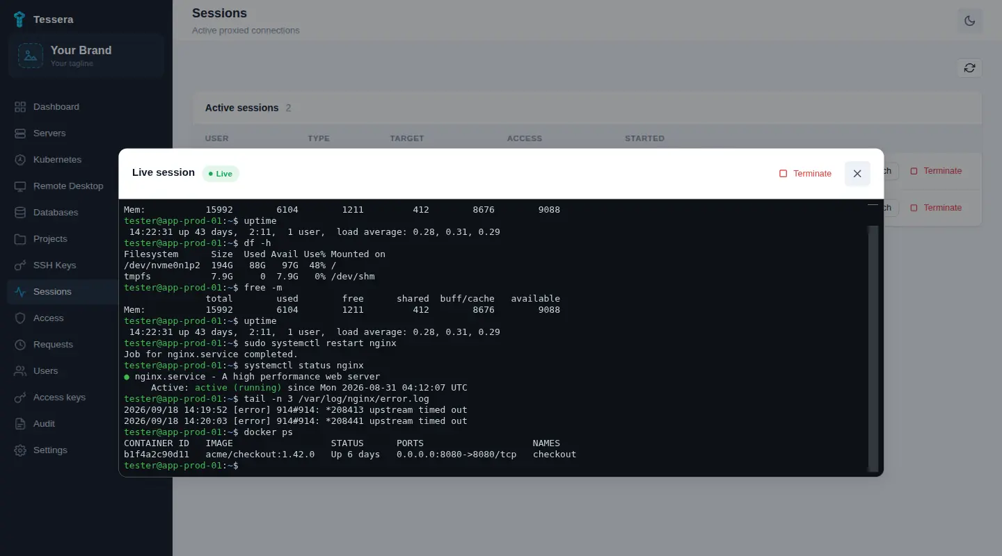 The Tessera console with two active SSH sessions and a live terminal open on one of them